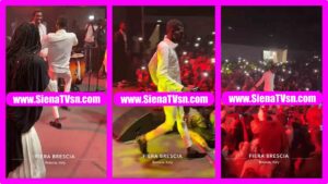 Adamo_concert_wally
