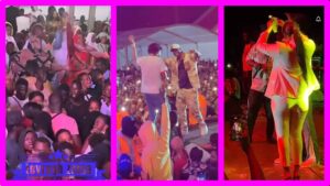 wally-concert_